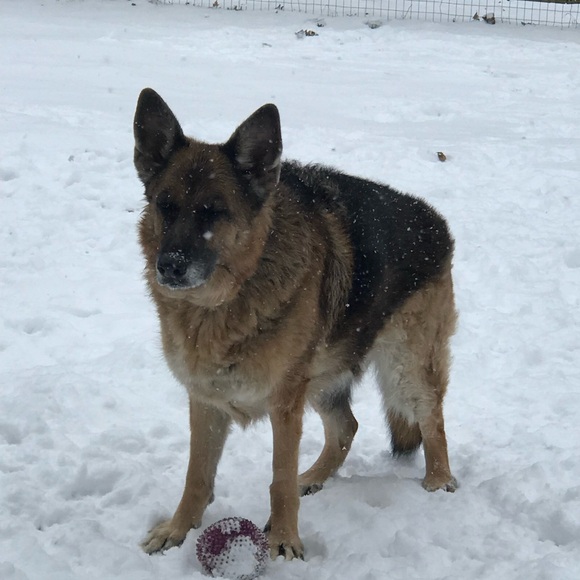 ▪️ABOUT ME▪️ - Picture 15 of 16